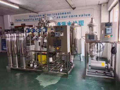 Sistema del RO y de EDI del paso 500LPH uno para el agua del picovatio