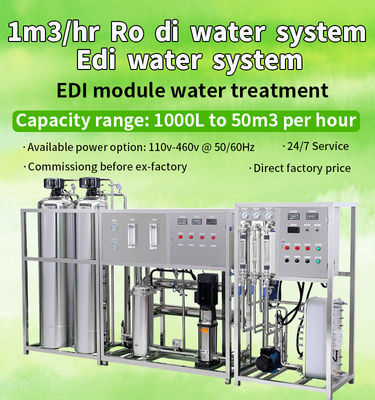 Sistema desmineralizado 1TPH de la purificación de EDI Unit For Water Treatment